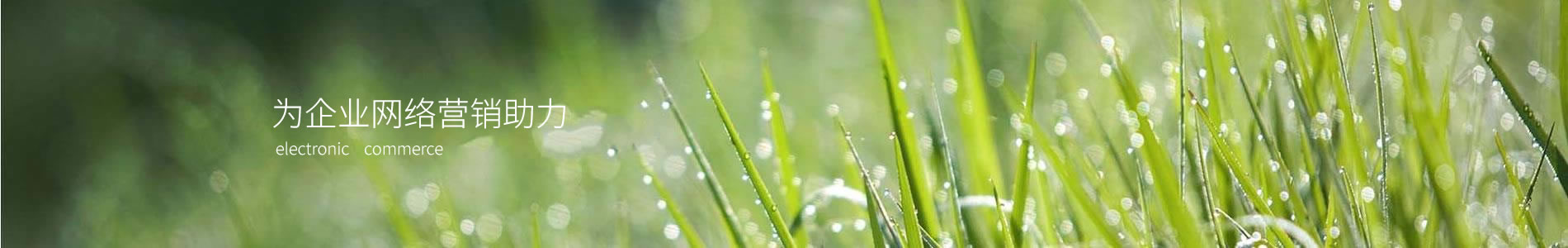 ϺľƼ޹˾շֹ˾